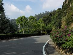 -火炉山森林公园