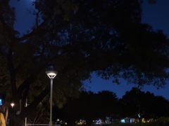 -荔湾湖公园