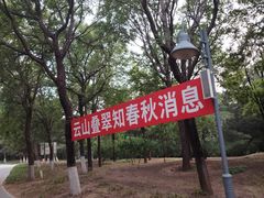 -云岗森林公园
