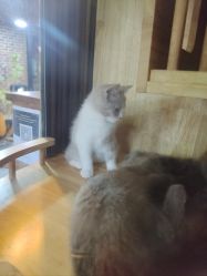 -青木造型HAIR·あおき髪を刈る潮人店