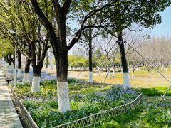 -白塘生态植物园