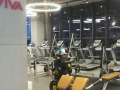 -GYMCARE VIVA(金开店)