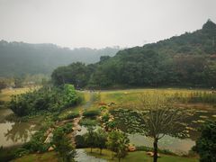 -国恩寺