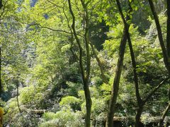 -神龙峡风景区