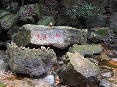 -鼎湖山风景区