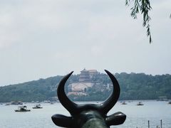 -皇家御河游(紫御湾码头)