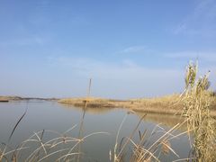 -宁波杭州湾海底温泉