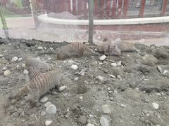-国色天乡三期陆地乐园
