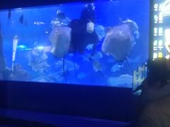 -重庆欢乐海底世界