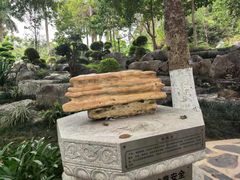 -东莞植物园