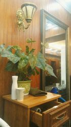 吧-小齐发型Star·Salon