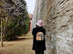 -东华门大街小区