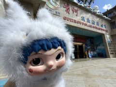 -多彩贵州城极地海洋世界