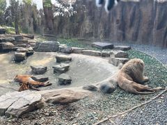 -北京野生动物园