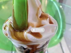 -Salud撒露欧洲冻酸奶(北苑上品店)