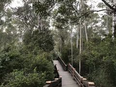 -水濂山森林公园