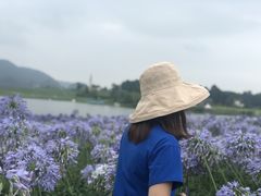 -云漫湖生态度假公园