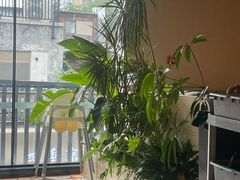 -志明眷村·台式融合菜·宵夜