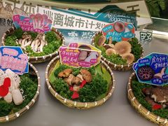 -芸山季·云南山珍菌火锅(人民广场来福士店)