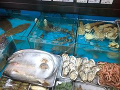 -中苑海韵