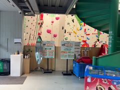-绿壁虎攀岩基地(Tcar店)