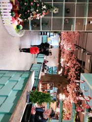 点击看大图 -宝燕乐园(闵行旗舰店)