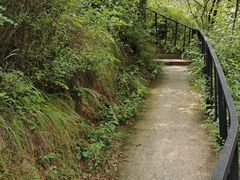 -仙居谷风景区