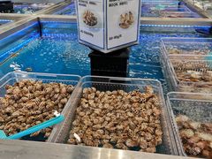-盒马X会员店(上海森兰商都店)