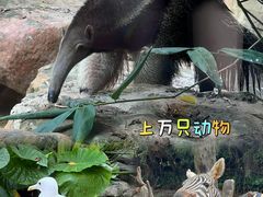 -长鹿旅游休博园