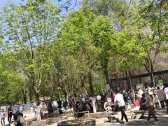 -长白岛森林公园