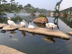 -1369冰火锅(木北路店)