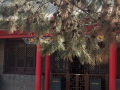 -慈恩寺