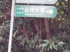 -紫金山山顶公园