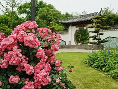 -武汉园博园(武汉自然博物馆)