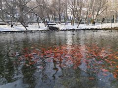 -水磨沟公园
