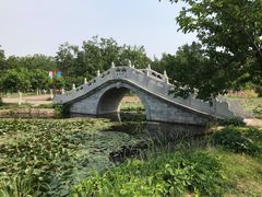 -御林古桑园
