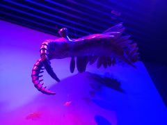 -贝林大翅鲸简餐厅(国家海洋博物馆店)