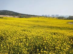 -西海岸生态观光园