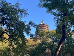 -玲珑塔公园