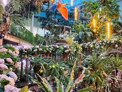 -正佳雨林生态植物园