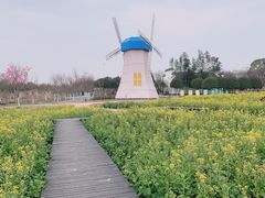 -武汉紫薇都市田园