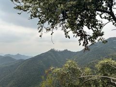 -莫干山风景区