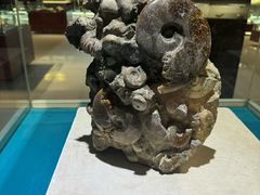 -青岛贝壳博物馆