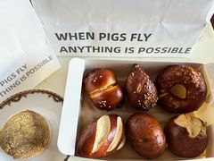 小米布丁碱水-WHEN PIGS FLY当猪飞