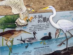 -绿堤公园