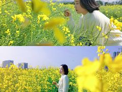 -光明小镇欢乐田园