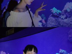 -成都浩海立方海洋公园