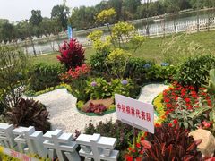 -长春市南湖公园