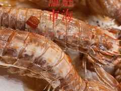 -驻海渔市(置信店)
