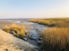 -南汇嘴观海公园